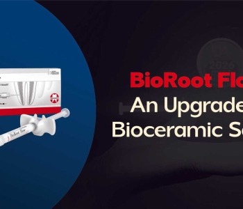 Bioceramic sealer